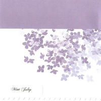 Purchase Mint Julep - Songs About Snow