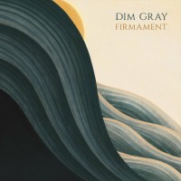 Purchase Dim Gray - Firmament