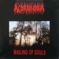 Buy Agoraphobia - Wailing Of Souls (EP) Mp3 Download