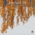 Buy Arne Torvik Trio - Northwestern Songs Mp3 Download