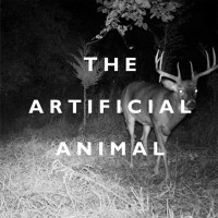 Purchase Broken English Club - The Artificial Animal