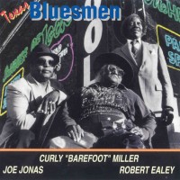 Purchase VA - Texas Bluesmen