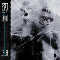 Purchase 89S† & Petra Flurr - Trübe Stadt