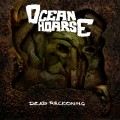 Buy Oceanhoarse - Dead Reckoning Mp3 Download