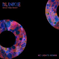 Purchase Blinkie - What You Want (Kc Lights Extended Remix) (CDS)