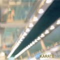 Buy Karate - 595 Mp3 Download