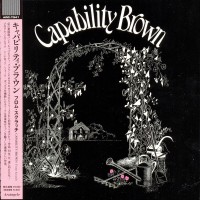 Purchase Capability Brown - From Scratch (Japanese Edition)