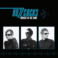 Purchase Buzzcocks - Sonics In The Soul