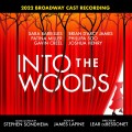 Buy Sara Bareilles, Stephen Sondheim & 'into The Woods' 2022 Broadway Cast - Into The Woods (2022 Broadway Cast Recording) Mp3 Download