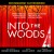 Buy Sara Bareilles, Stephen Sondheim & 'into The Woods' 2022 Broadway Cast - Into The Woods (2022 Broadway Cast Recording) Mp3 Download