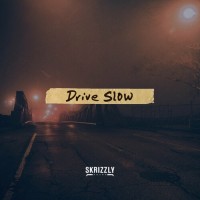 Purchase Skrizzly Adams - Drive Slow (CDS)