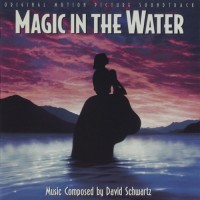 Purchase David Schwartz - Magic In The Water
