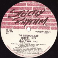 Purchase The Untouchables (Electronic) - Take A Chance (Vinyl)