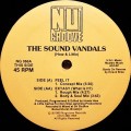 Buy The Sound Vandals - Feel It & Extasy (What Is It?) (Vinyl) Mp3 Download