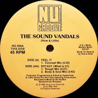 Purchase The Sound Vandals - Feel It & Extasy (What Is It?) (Vinyl)