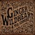 Buy Ginger Wildheart & The Sinners - Ginger Wildheart & The Sinners Mp3 Download
