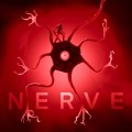 Buy Neoni - Nerve (CDS) Mp3 Download