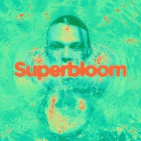 Purchase Ashton Irwin - Superbloom