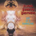 Buy The Flying Burrito Brothers - Eye Of A Hurricane Mp3 Download