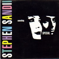 Purchase Stephen Duffy - Something Special (With Sandii) (VLS)