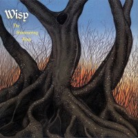 Purchase Wisp - The Shimmering Hour