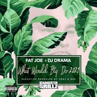 Purchase Fat Joe - What Would Big Do 2021 (With DJ Drama, Cool & Dre)