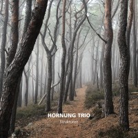 Purchase Hornung Trio - Strukturen