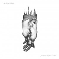 Purchase Cardinal Black - January Came Close