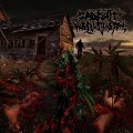 Buy Sadistic Hallucinations - Cadaver Compost Mp3 Download