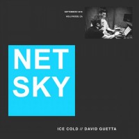Purchase Netsky - Ice Cold (Original Mix) (Feat. David Guetta) (CDS)