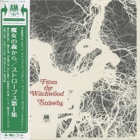 Purchase Strawbs - From The Witchwood (Japanese Edition)