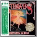 Buy Strawbs - Grave New World (Japanese Edition) Mp3 Download