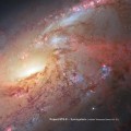 Buy Project STS-31 - Spiralgalaxie (Hubble Telescope Series Vol. 3) Mp3 Download