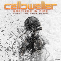 Purchase Celldweller - Baptized In Fire (Fight The Fade Remix) (CDS)