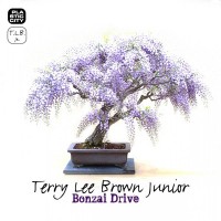 Purchase Terry Lee Brown Jr. - Bonzai Drive (EP)
