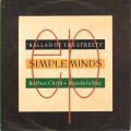 Buy Simple Minds - Belfast Child (VLS) Mp3 Download