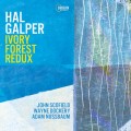 Buy Hal Galper - Ivory Forest Redux Mp3 Download