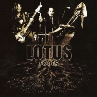 Purchase Lotus - Roots