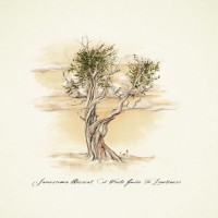 Purchase Jamestown Revival - A Field Guide To Loneliness (EP)