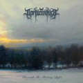 Buy Nordicwinter - Beneath The Fleeting Light Mp3 Download