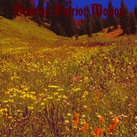 Purchase Sunrise Patriot Motion - Black Fellflower Stream
