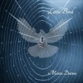 Buy Maria Daines - Little Bird Mp3 Download