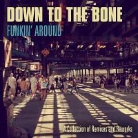 Purchase Down To The Bone - Funkin' Around: A Collection Of Remixes And Reworks CD1