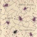 Buy David Dunn - Angels And Insects Mp3 Download