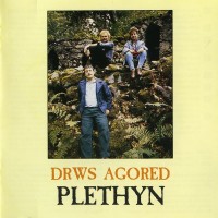 Purchase Plethyn - Drws Agored