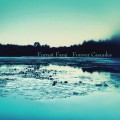 Buy Forrest Fang - Forever Cascades Mp3 Download