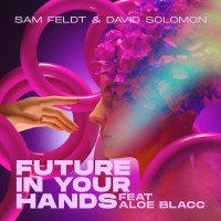 Purchase Sam Feldt, David Solomon & Aloe Blacc - Future In Your Hands (CDS)