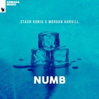 Purchase Stash Konig & Morgan Harvill - Numb (CDS)