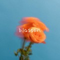 Buy The Summer Set - Blossom Mp3 Download