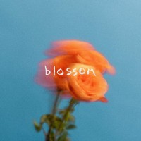 Purchase The Summer Set - Blossom
